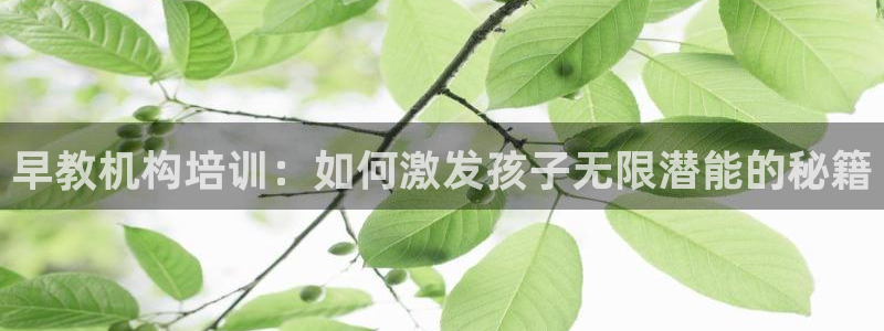 怎么注册天狮娱乐的账号：早教机构培训：如何激发孩子无限潜能的秘籍