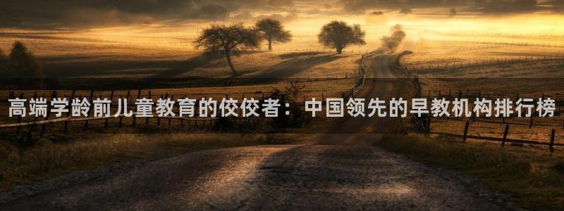 天狮娱乐e 判官：高端学龄前儿童教育的佼佼者：中国领先的早教机构排行榜