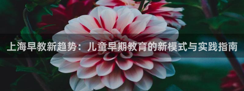 天狮娱乐 送彩金酷赢