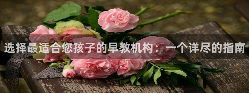 天狮娱乐 官方注册官网：选择最适合您孩子的早教机构：一个详尽的指南