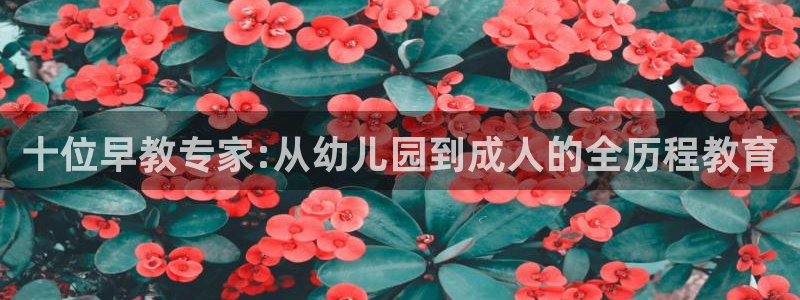 天狮娱乐是黑台子吗:十位早教专家:从幼儿园到成人的全历程教育