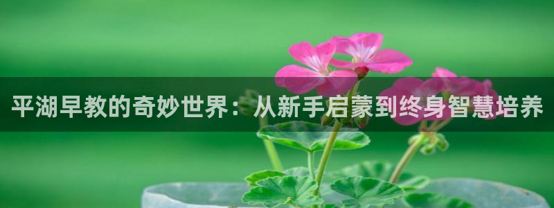 天狮娱乐 148-27：平湖早教的奇妙世界：从新手启蒙到终身智慧培养