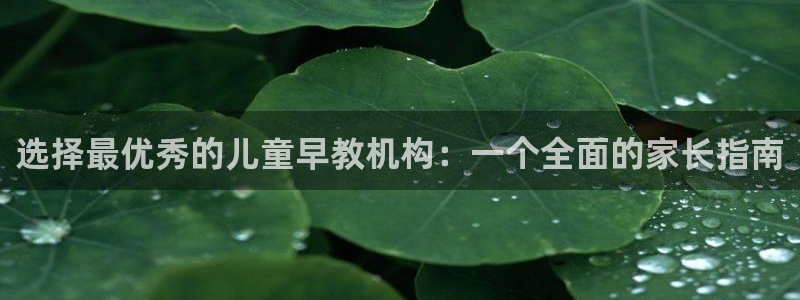 天狮平台娱乐：选择最优秀的儿童早教机构：一个全面的家长指南