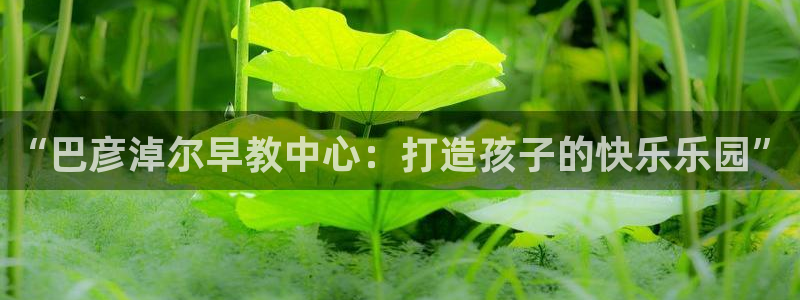 天狮娱乐彩票真假：“巴彦淖尔早教中心：打造孩子的快乐乐园”