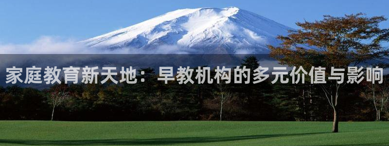 天狮娱乐q 去108-306：家庭教育新天地：早教机构的多元价值与影响