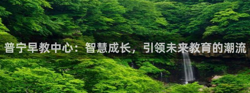 天狮娱乐专线：普宁早教中心：智慧成长，引领未来教育的潮流