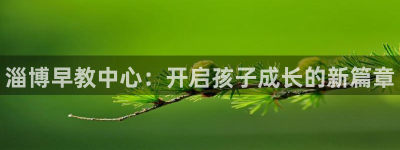 天狮娱乐app下载：淄博早教中心：开启孩子成长的新篇章