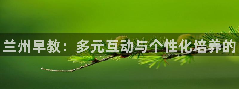 天狮娱乐官方代理：兰州早教：多元互动与个性化培养的