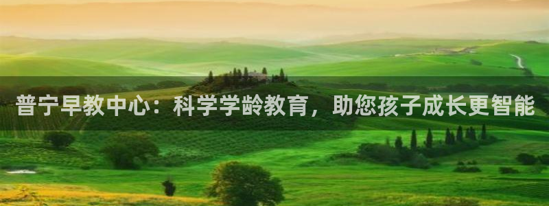 天狮娱乐是做什么的：普宁早教中心：科学学龄教育，助您孩子成长更智能