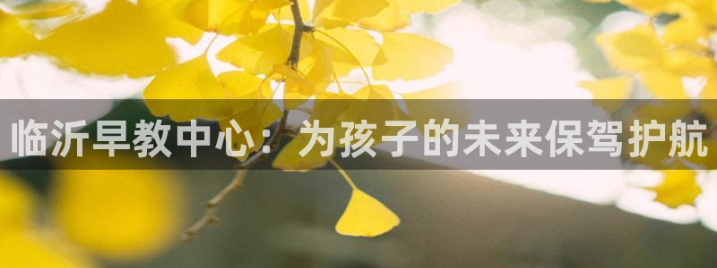 天狮娱乐招商扣：临沂早教中心：为孩子的未来保驾护航