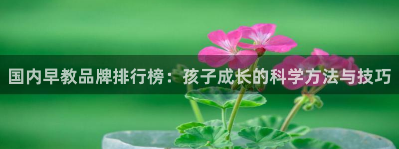 天狮娱乐注册登陆：国内早教品牌排行榜：孩子成长的科学方法与技巧