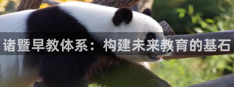 天狮娱乐b 判官是谁：诸暨早教体系：构建未来教育的基石