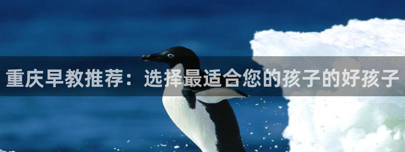 天狮娱乐 卧j主管60447：重庆早教推荐：选择最适合您的孩子的好孩子