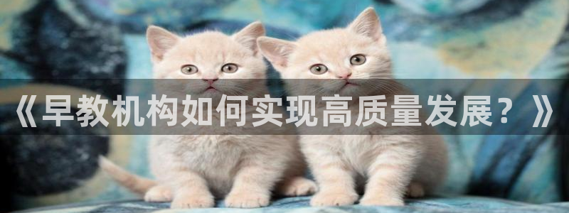 天狮娱乐返点多少：《早教机构如何实现高质量发展？》