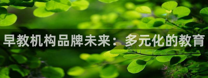 天狮娱乐如何注册代理：早教机构品牌未来：多元化的教育