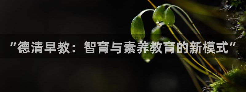 天狮娱乐怎么充钱：“德清早教：智育与素养教育的新模式”