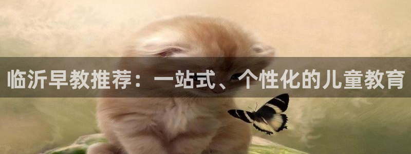 天狮娱乐怎么做代理：临沂早教推荐：一站式、个性化的儿童教育