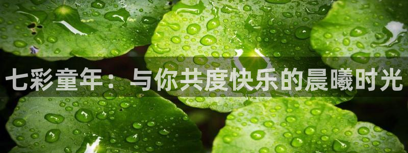 天狮娱乐谁在玩：七彩童年：与你共度快乐的晨曦时光