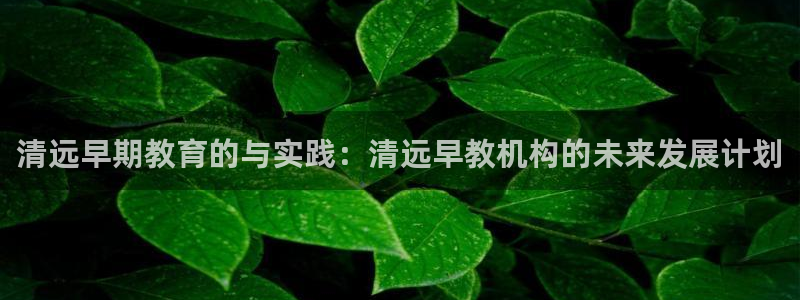 天狮娱乐返点：清远早期教育的与实践：清远早教机构的未来发展计划