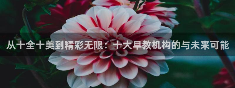 天狮娱乐-欢迎您：从十全十美到精彩无限：十大早教机构的与未来可能