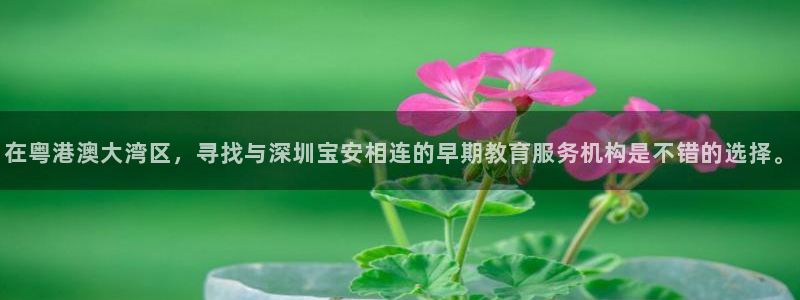 龙湖狮山天街娱乐：在粤港澳大湾区，寻找与深圳宝安相连的早期教育服务机构是不错的选