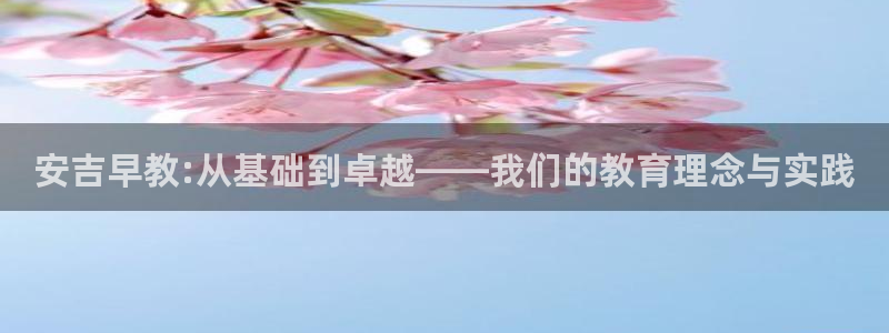 天狮娱乐 彩票：安吉早教:从基础到卓越——我们的教育理念与实践