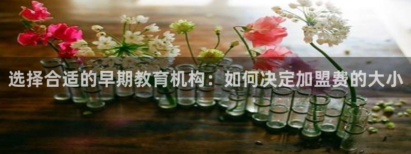 天狮娱乐返点：选择合适的早期教育机构：如何决定加盟费的大小