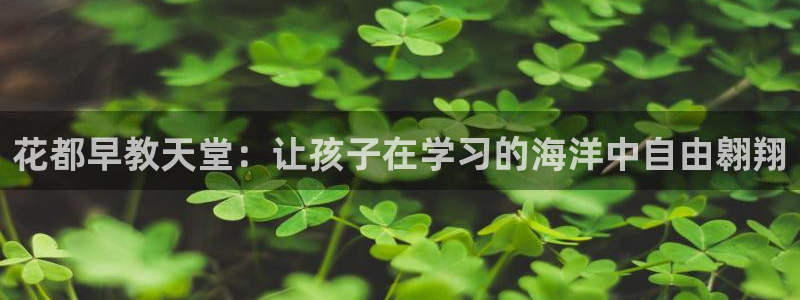 天狮娱乐运营57757：花都早教天堂：让孩子在学习的海洋中自由翱翔