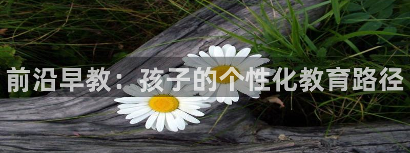 天狮娱乐 主管注册官网：前沿早教：孩子的个性化教育路径
