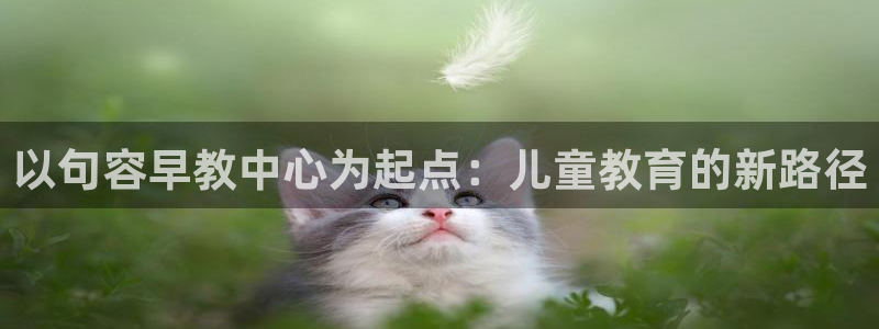 天狮娱乐谁在玩：以句容早教中心为起点：儿童教育的新路径