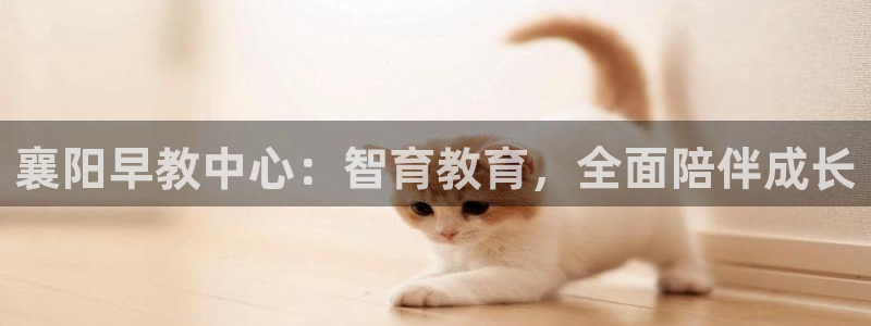 天狮娱乐是私人平台吗：襄阳早教中心：智育教育，全面陪伴成长