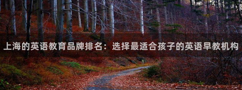 天狮娱乐然：上海的英语教育品牌排名：选择最适合孩子的英语早教机构