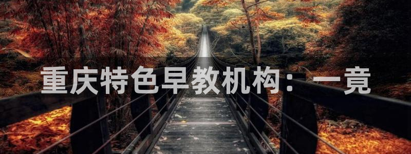 天狮娱乐q 去108-306：重庆特色早教机构：一竟