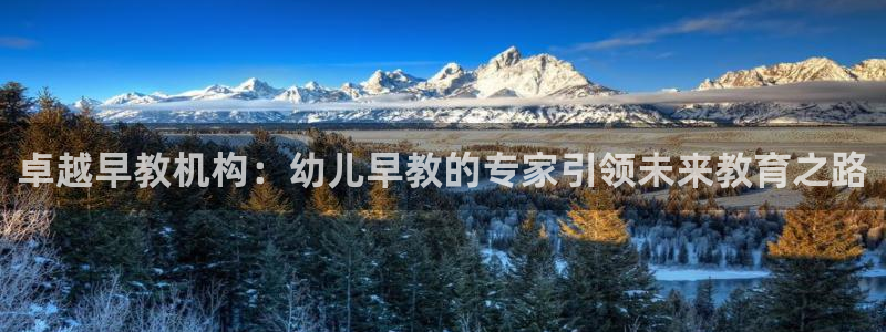 天狮娱乐 138do点c0m:卓越早教机构:幼儿早教的专家引领未来教育之路