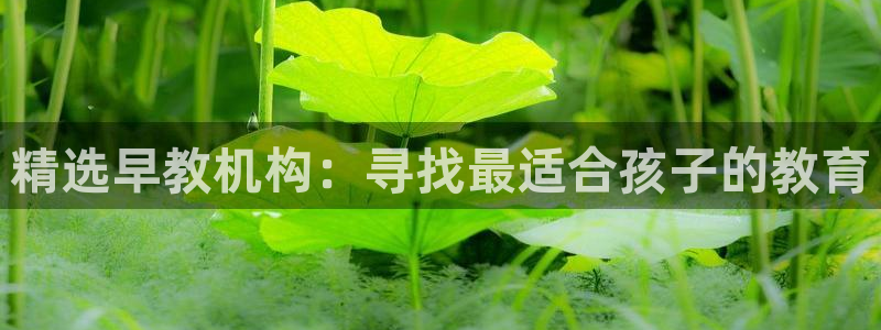 天狮娱乐怎么注册：精选早教机构：寻找最适合孩子的教育