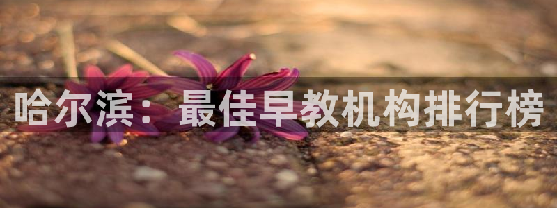 狮山天街休闲娱乐:哈尔滨:最佳早教机构排行榜