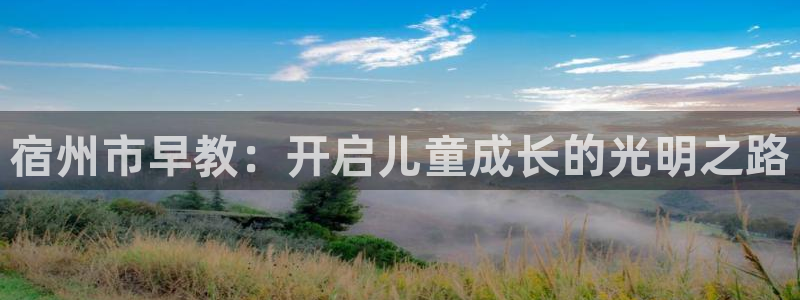 天狮娱乐下载app:宿州市早教:开启儿童成长的光明之路