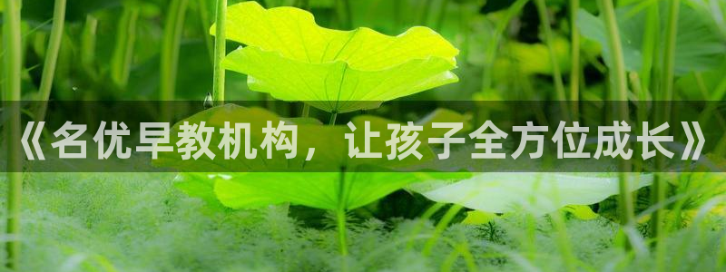 天狮娱乐i股t东64681:《名优早教机构,让孩子全方位成长》