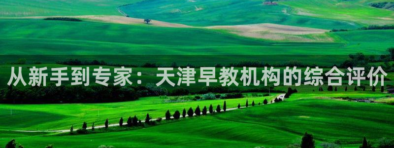 天狮娱乐挂机：从新手到专家：天津早教机构的综合评价