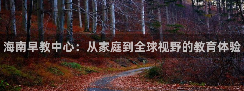 天狮娱乐主:海南早教中心:从家庭到全球视野的教育体验