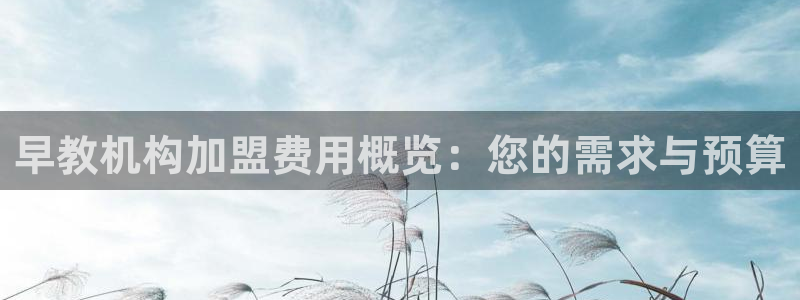 天狮娱乐 a招商98663：早教机构加盟费用概览：您的需求与预算