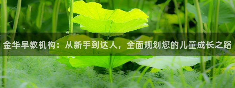 天狮娱乐36633股东：金华早教机构：从新手到达人，全面规划您的儿童成长之路