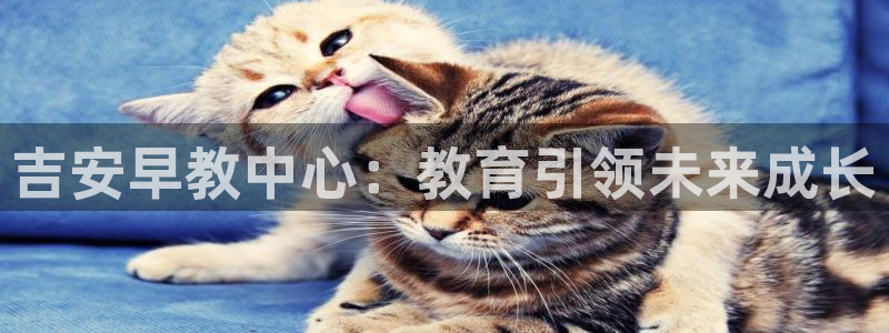 天狮娱乐平台代理：吉安早教中心：教育引领未来成长