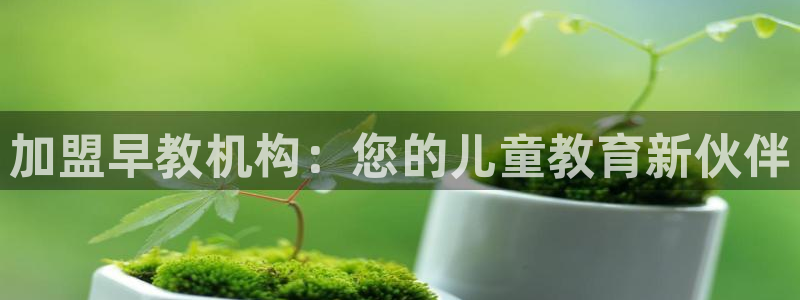 天狮娱乐怎么样：加盟早教机构：您的儿童教育新伙伴