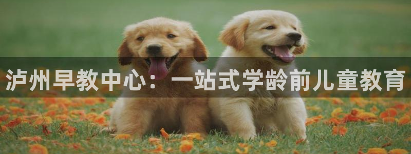 天狮娱乐哪里注册：泸州早教中心：一站式学龄前儿童教育