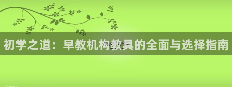 楚雄天狮国际娱乐会所:初学之道:早教机构教具的全面与选择指南