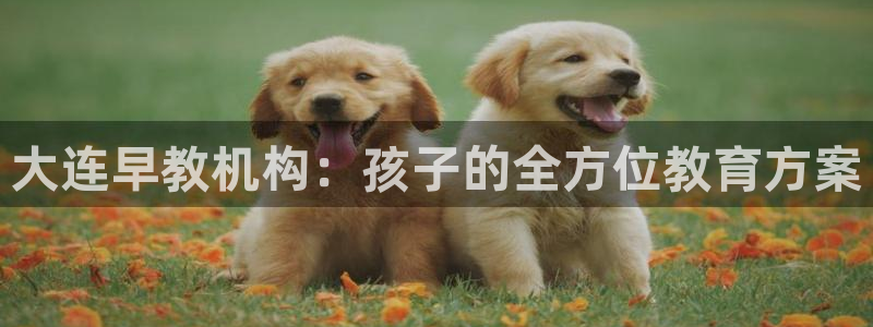 天狮娱乐授权:大连早教机构:孩子的全方位教育方案