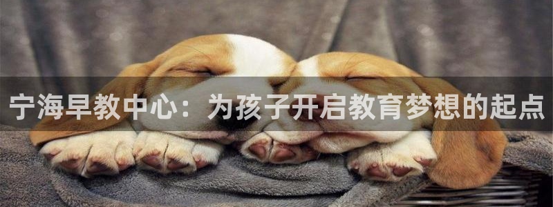 天狮娱乐怎么代理:宁海早教中心:为孩子开启教育梦想的起点