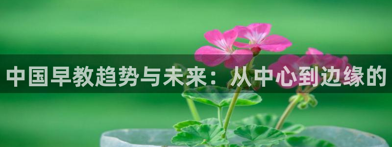 天狮娱乐 138:中国早教趋势与未来:从中心到边缘的