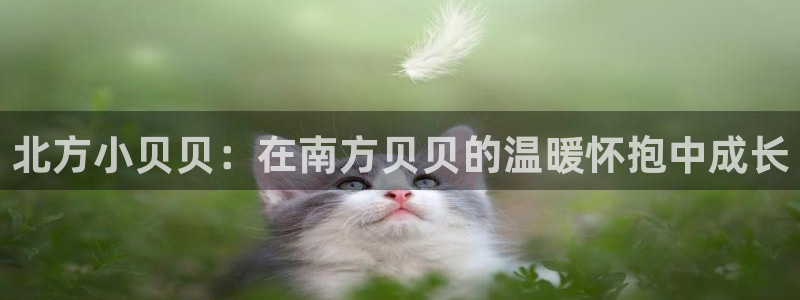 天狮娱乐_99399天神_加扣C：北方小贝贝：在南方贝贝的温暖怀抱中成长